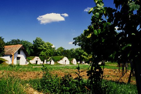 Wine Cellars in Carnuntum c Carnuntum scaled