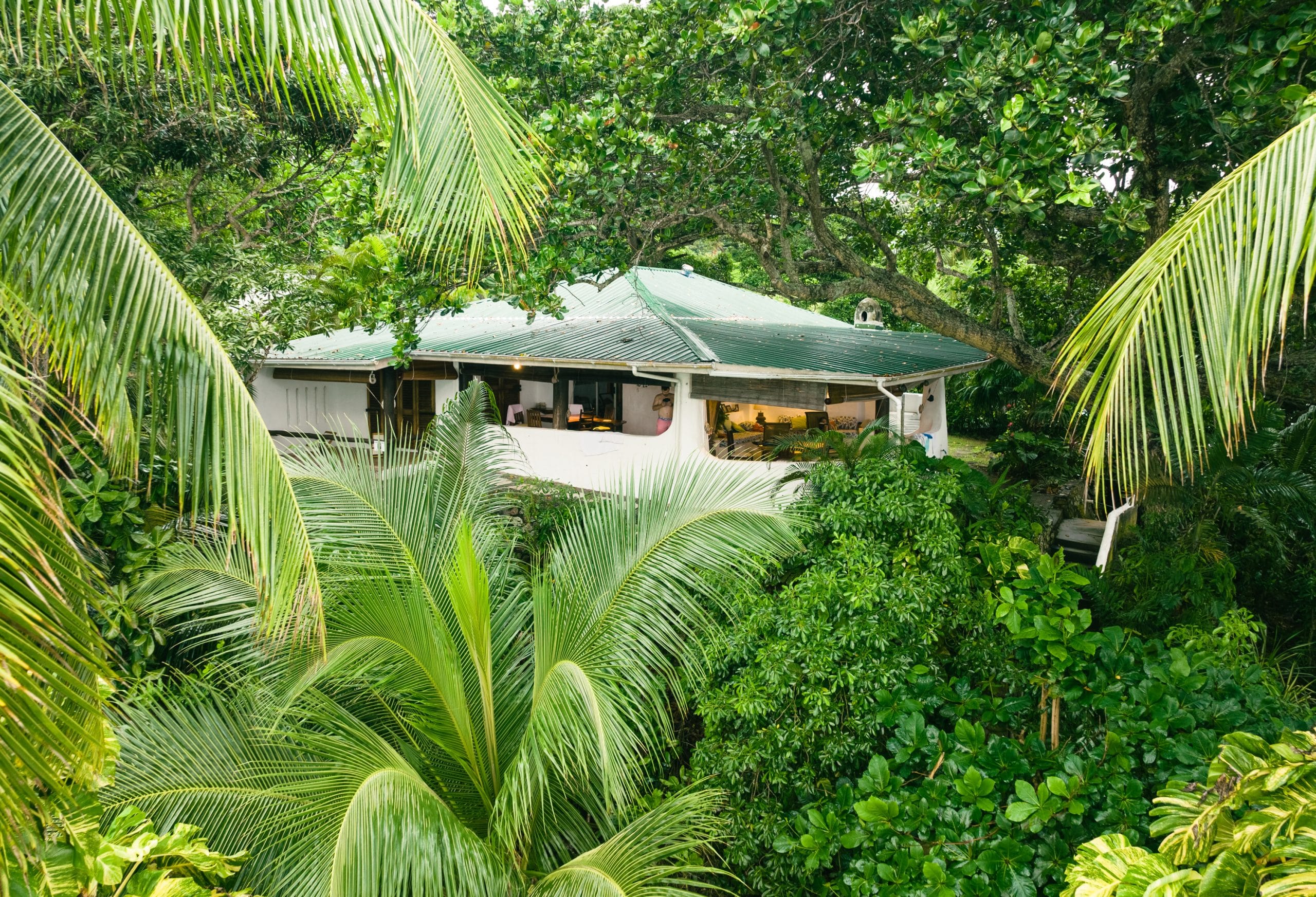 Seychellen mitten im Urwald