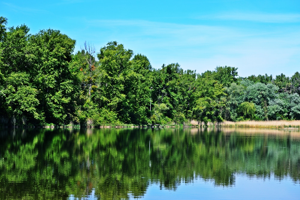 lobau