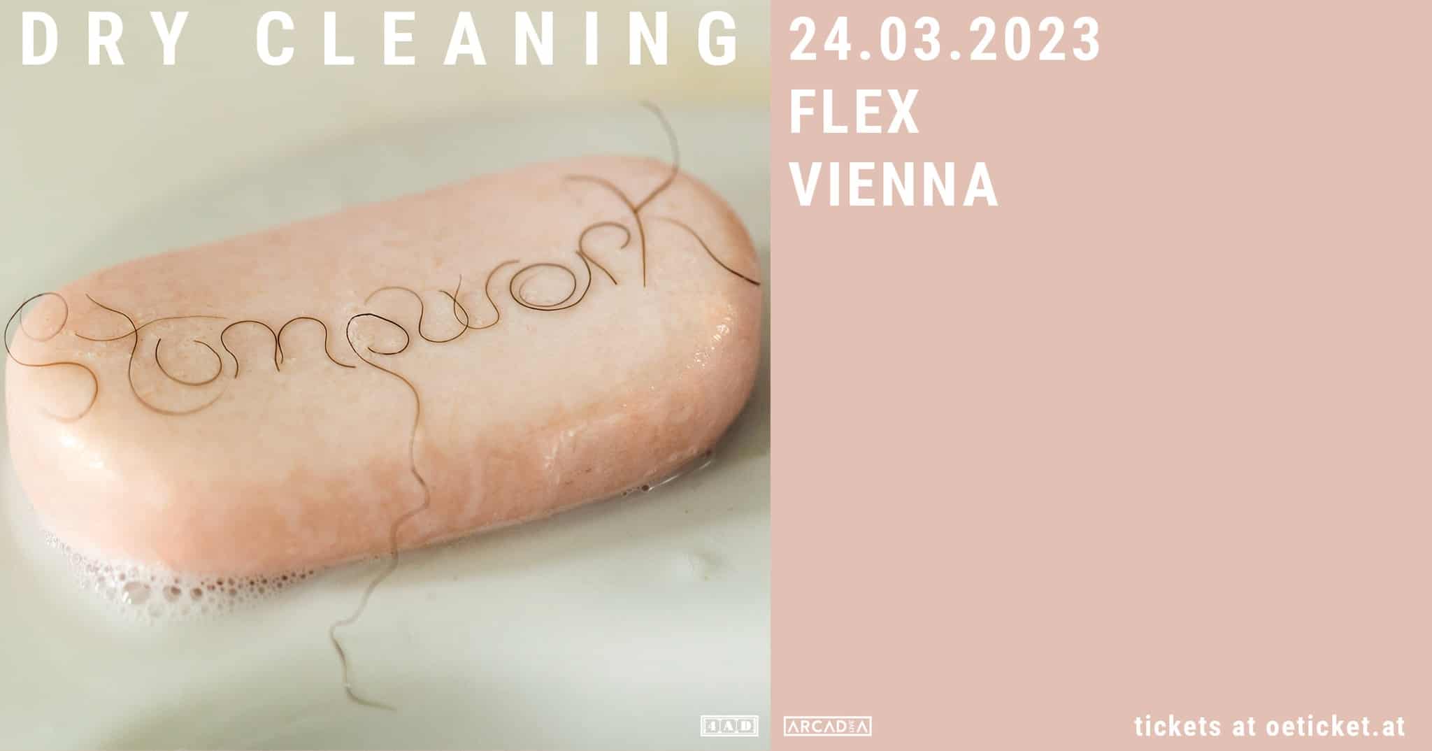 Events Wien: Dry Cleaning (UK) • Wien • Flex