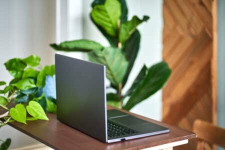 laptop and plants on wooden shelf at home utc