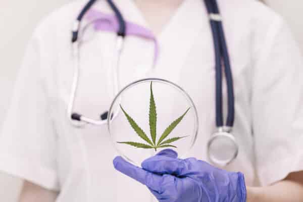 medical professional holding petri dish with canna utc